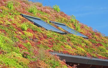Greenhill Bank living roof systems